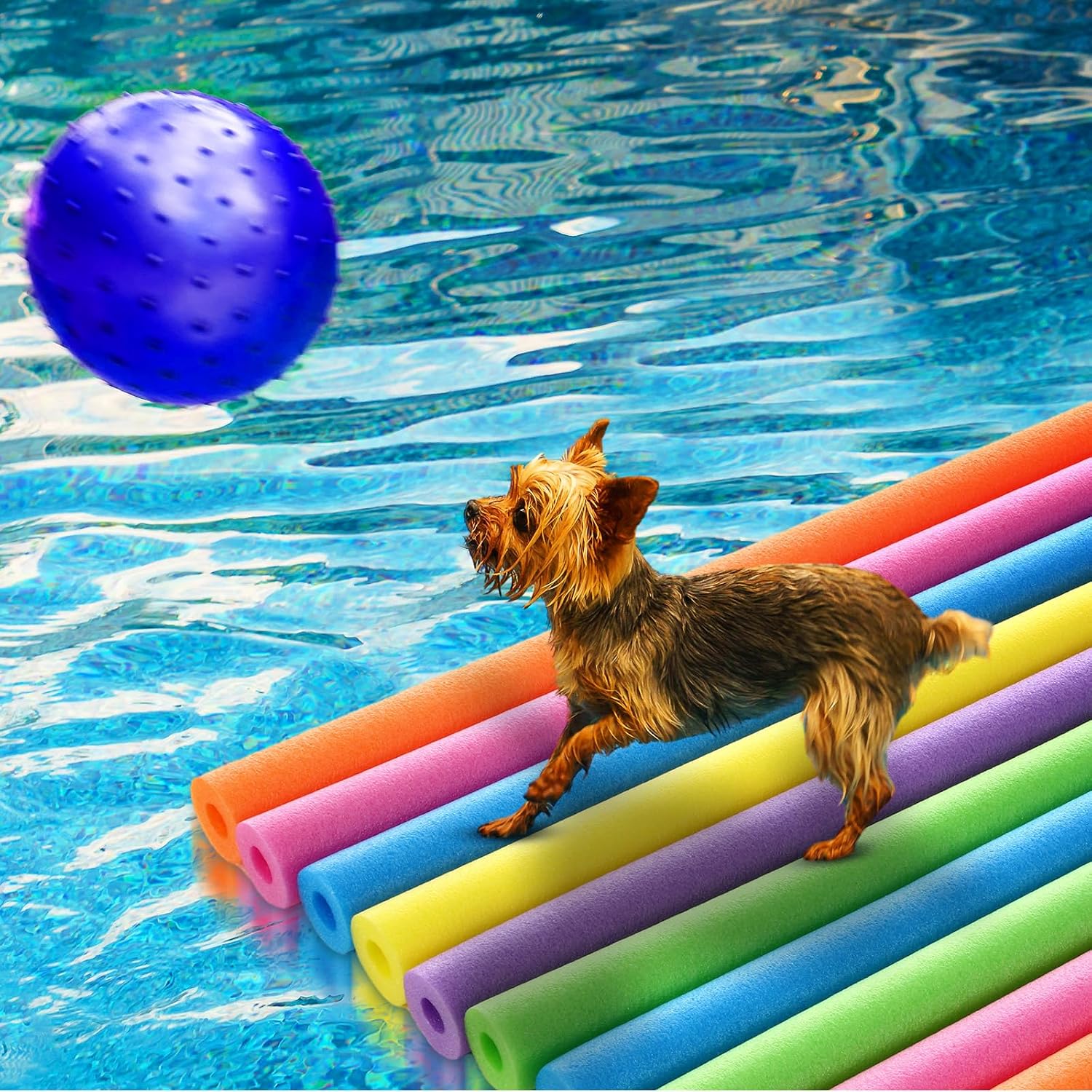 18 Pack Pool Noodles Bulk 39 x - Foam Pool Noodle ulasan dan harga