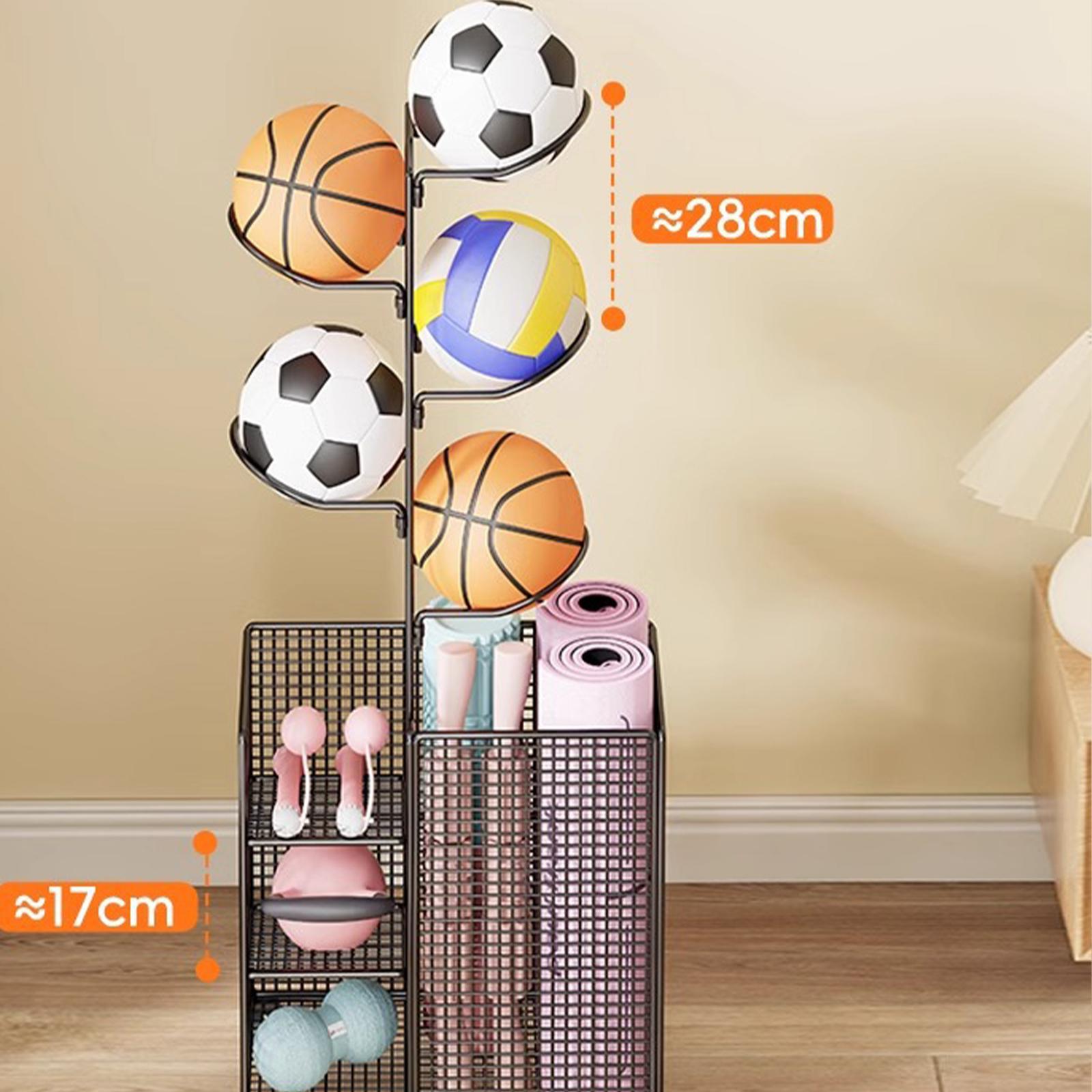 Ball Storage Rack Vertical Bas - Sports Equipment And Facilities ulasan dan harga