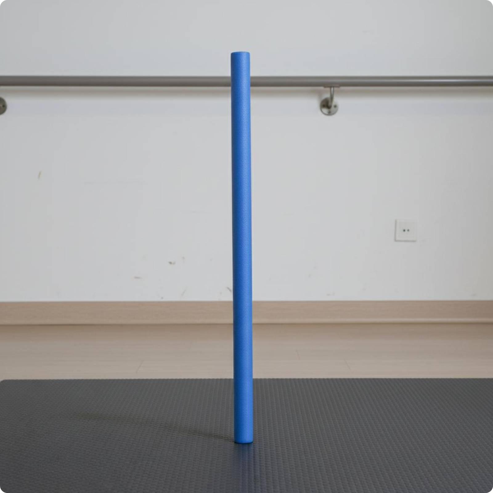 Pool Training Float Bar Cylind - Foam Pool Noodle ulasan dan harga